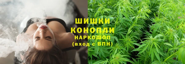 спиды Аркадак